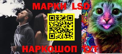 ECSTASY Сланцы