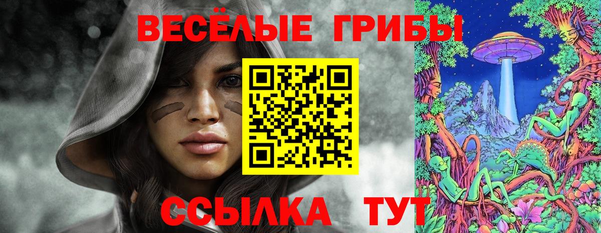 Псилоцибиновые грибы Psilocybine cubensis  Вход с VPN  Брянск 